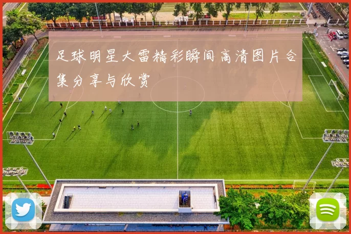 足球明星大雷精彩瞬间高清图片合集分享与欣赏