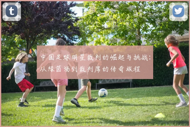 中国足球明星裁判的崛起与挑战：从绿茵场到裁判席的传奇旅程