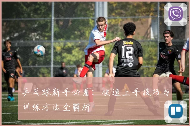 乒乓球新手必看：快速上手技巧与训练方法全解析