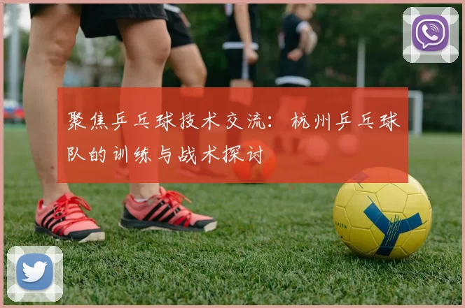 聚焦乒乓球技术交流：杭州乒乓球队的训练与战术探讨