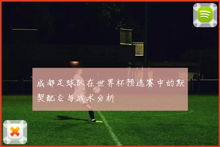 成都足球队在世界杯预选赛中的默契配合与战术分析