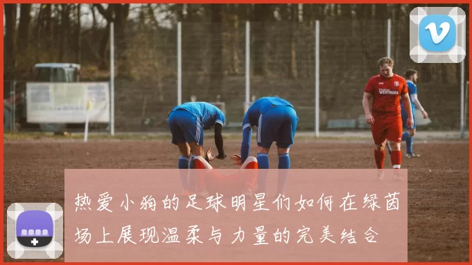 热爱小狗的足球明星们如何在绿茵场上展现温柔与力量的完美结合