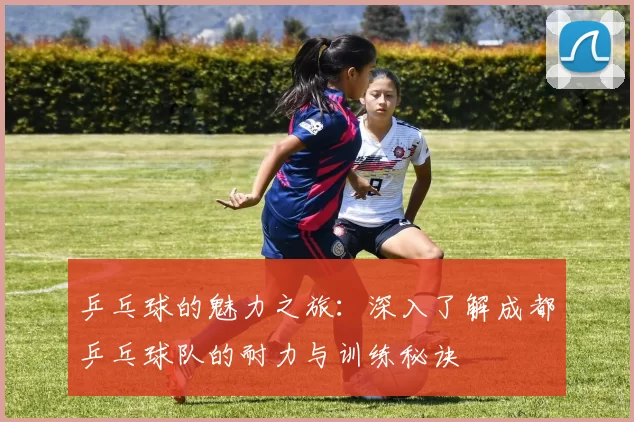乒乓球的魅力之旅：深入了解成都乒乓球队的耐力与训练秘诀