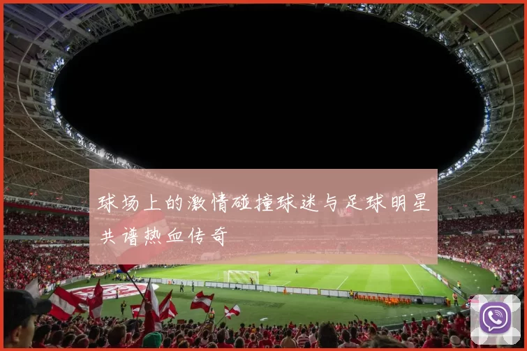 球场上的激情碰撞球迷与足球明星共谱热血传奇