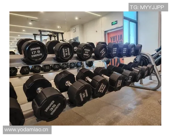 自转健身器材推荐指南