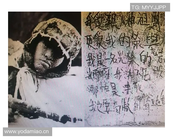 世界纪录保持者揭秘：超越极限的壮举与背后的奋斗故事