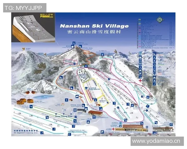 滑雪设备全面解析与选购指南，助你轻松驾驭雪道挑战